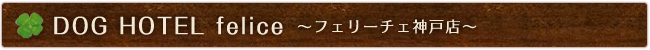 DOG HOTEL felice～フェリーチェ神戸店～