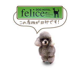 この看板が目印です！