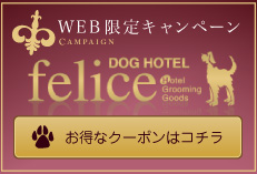 クーポン一覧