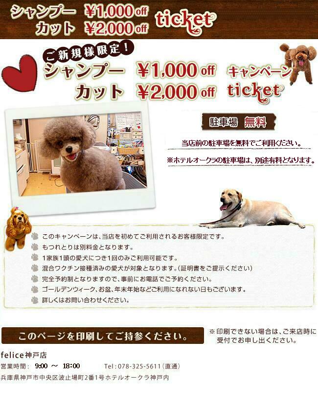 新規様キャンペーン