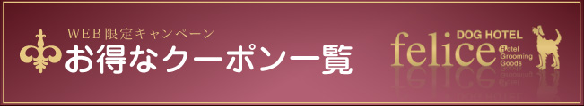 N[|ꗗ