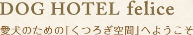 DOG HOTEL felice～フェリーチェ～ 愛犬のための「くつろぎ空間」へようこそ