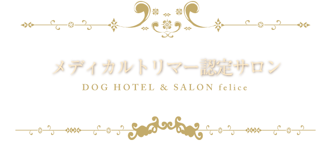 メディカルトリマー認定サロン