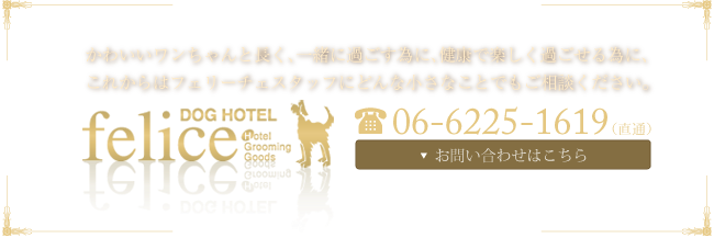 お電話はこちら