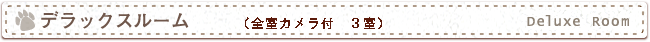 デラックスルーム
