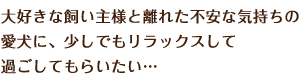 大好きな飼い主様と離れた不安な気持ちの愛犬に、少しでもリラックスして過ごしてもらいたい…