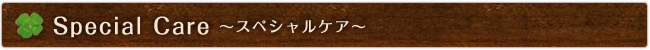 Special Care ～スペシャルケア～