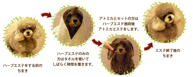 ハーブエステ