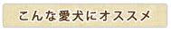 こんな愛犬にオススメ
